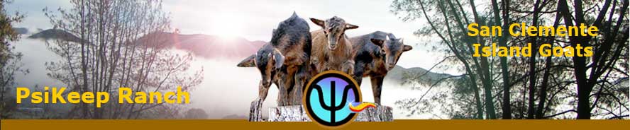 Title image for ranch